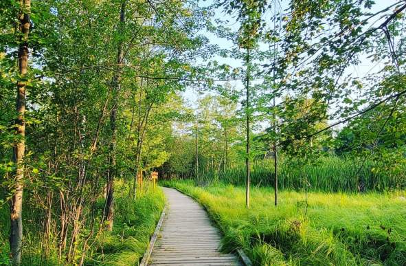 Take a summer hike in the Stevens Point Area along the picturesque Green Circle Trail.