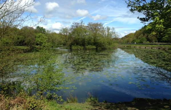 Bathpool Park with trees and dramatic-sky.