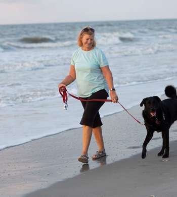 Want to Bring Your Dog to the Beach? There's No Better Time Than Fall.