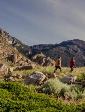 The spirit of the West isn’t just for adults—it’s a legacy worth passing down. Pack the car and give your little mavericks the chance to trade screen time for skyline. From mountain trails to history lessons etched in stone, these are the road trips that build grit, curiosity, and lifelong memories.