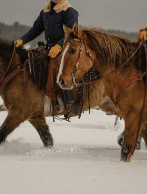 Two horseback riders travel through deep snow near Jackson, Wyoming. The close-up view of saddled horses, Western riding gear and snow-covered ranch country highlights Wyoming’s ranching heritage and winter horseback riding traditions.