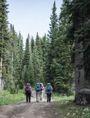 Hikers in a line along the Continental Divide Trail surrounded by scenic mountain views.