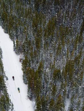 Snowmobiling in woods