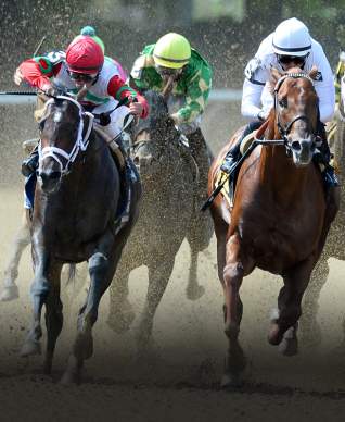 South Shore  Attractions  Belmont Stakes  Bel16_Hero1_1556x800_2.jpg