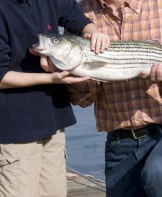 fresh fish