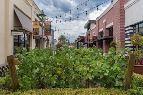 Temecula Valley Rainy Day Guide