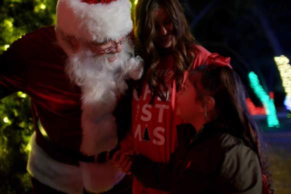 Holidays in the Park