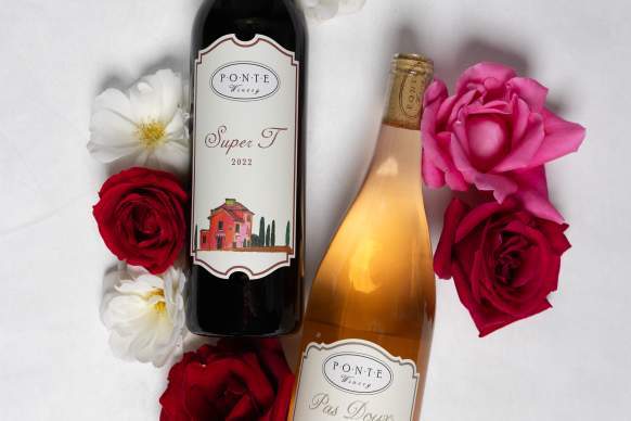 Romantic Candlelight Valentines Dinner