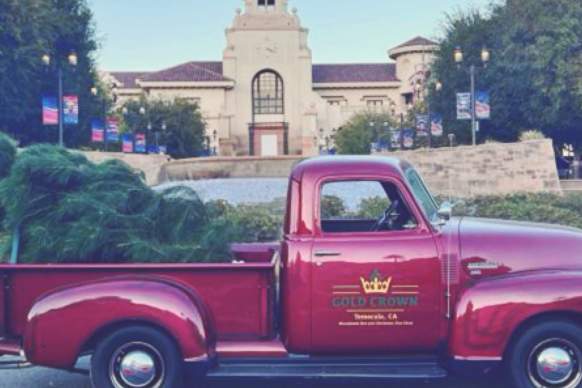 Old Town Christmas Tree Lot