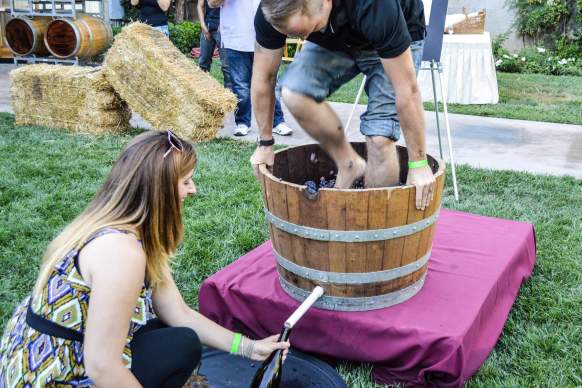 25th Anniversary Celebration and GrapeStomp