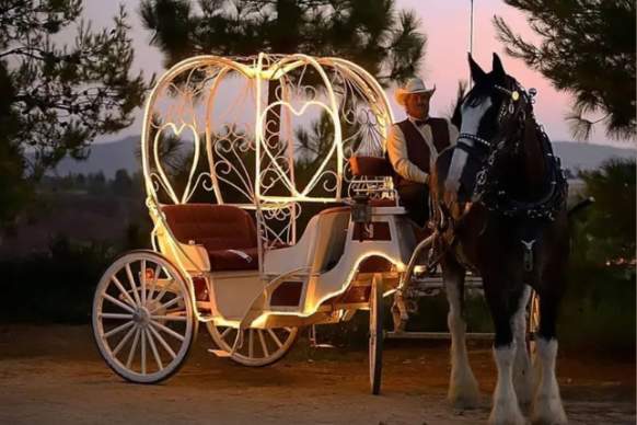 A Midsummer Night's Soiree & Carriage