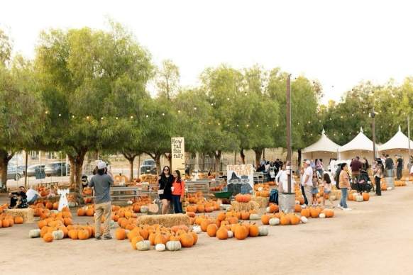 Peltzer Pumpkin Farm