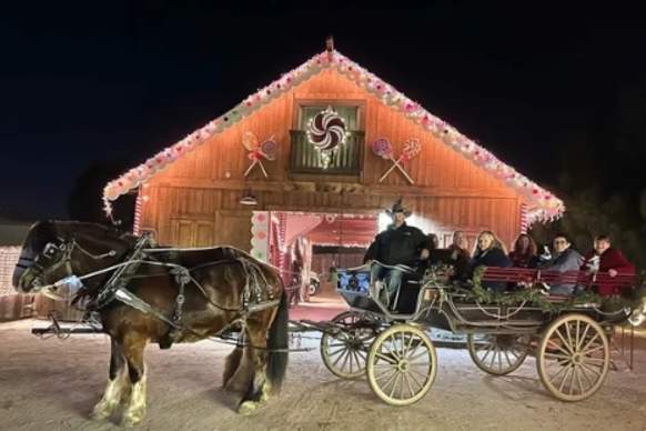 Jingle Bell "Sleigh" Rides