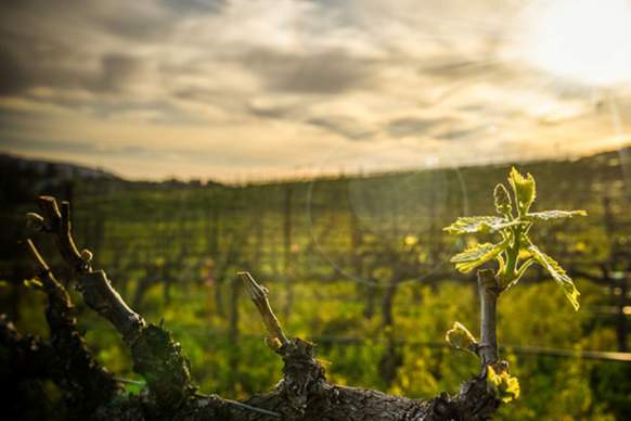 Inspirational Sunrise Service