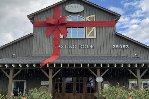 Holiday Shopping Night