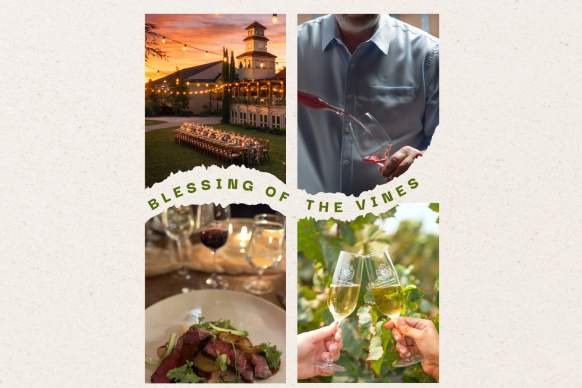 Annual Blessing of the Vines