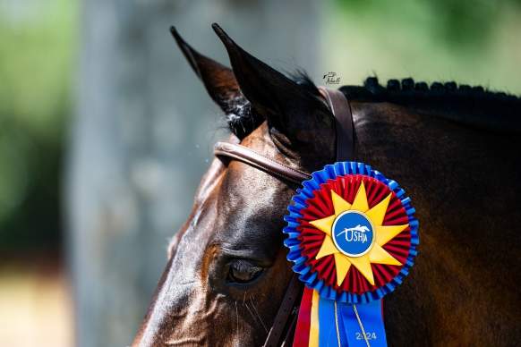 Temecula Valley National Premier series - week 1