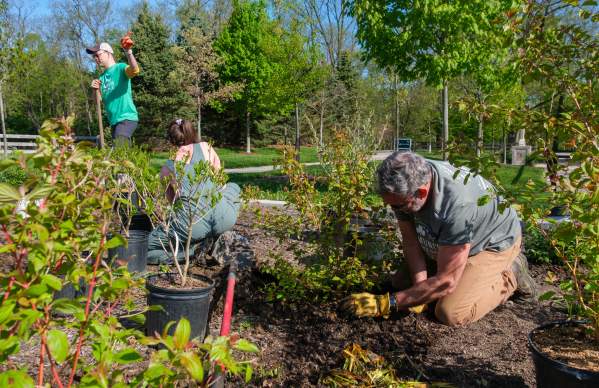 Where Community Grows: Discover Dublin’s Community Gardens