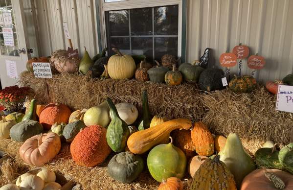 4 Farm Markets Near Dublin, Ohio
