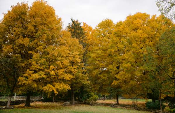 Your Perfect Fall Weekend in Dublin