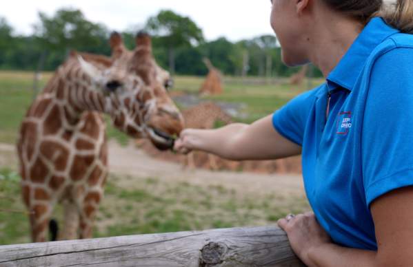 What's New at the Columbus Zoo