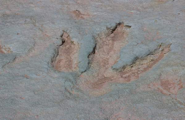 Science Moab: What was Moab like during the Jurassic period?