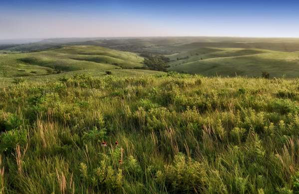 Flint Hills