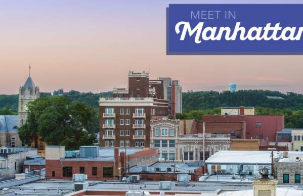 Meet in Manhattan Zoom Backgrounds