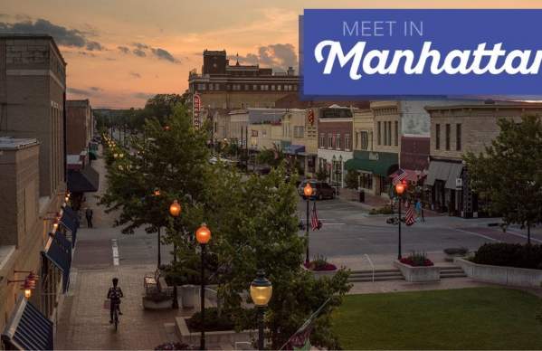 Meet in Manhattan Zoom Backgrounds