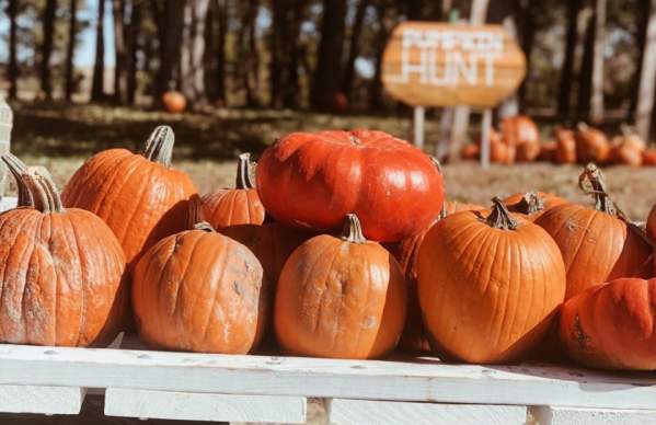 Celebrate Fall