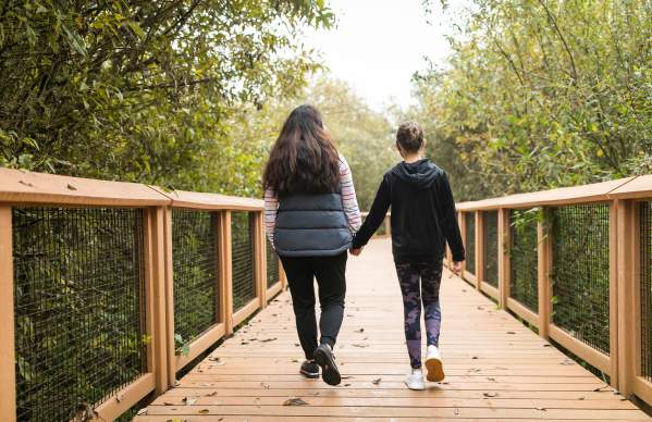 Springbrook Boardwalk at the Black River Riparian Forest