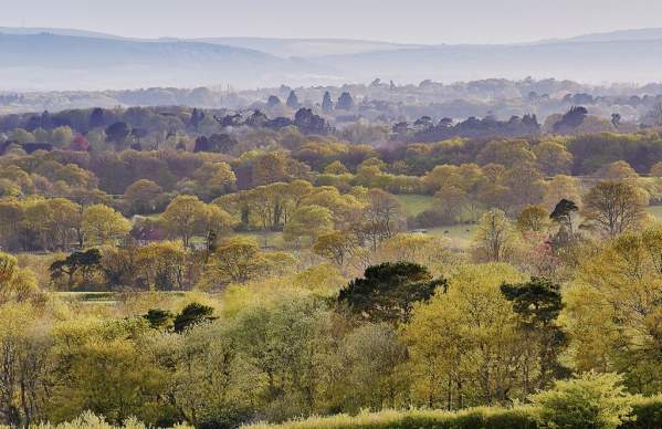 High Weald Sussex