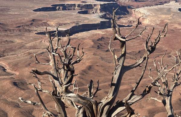 Deep Desert Expeditions
