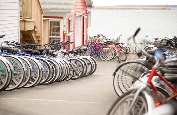 Bike Rentals