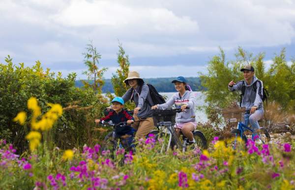 family riding bikes