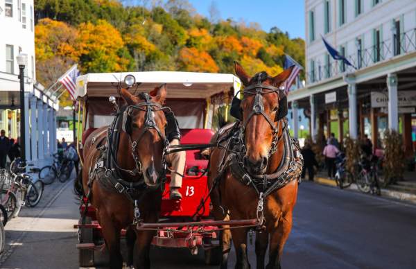 7 sights to see on a public horse-drawn carriage tour of Mackinac Island