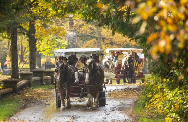 horse drawn transportation in fall