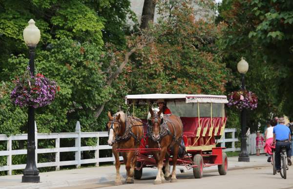 Horse drawn Tours