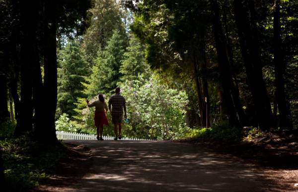 4 Hiking and Biking Trails to Explore on Mackinac Island