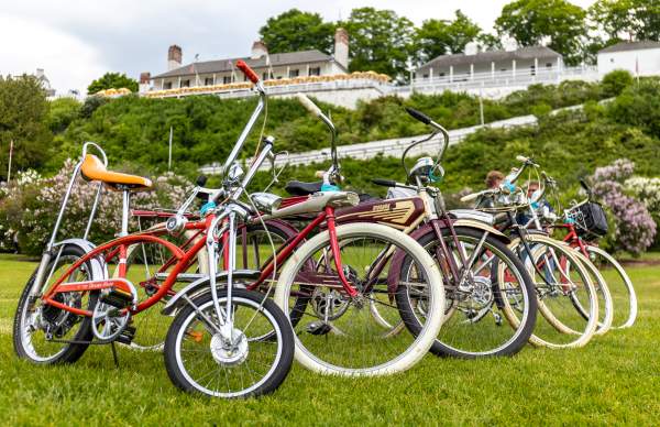 Vintage Bicycle Rally