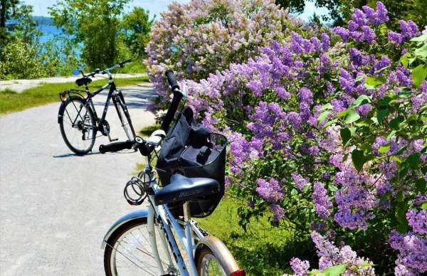 Plan Now for the Annual Mackinac Island Lilac Festival