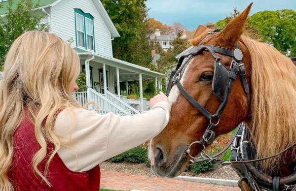 Everything to know about horses on Mackinac Island