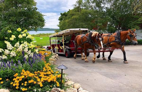 Horse-drawn carriage options: Public tour vs. private tour