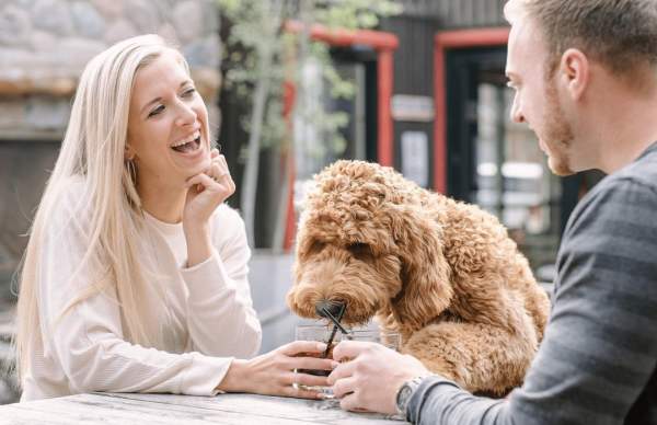 8 Must-Visit Outdoor Patios in Wauwatosa
