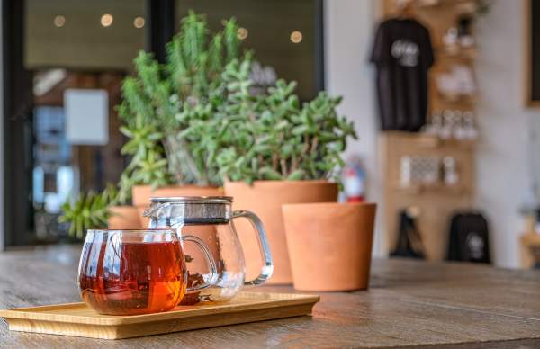 cup of tea with herb plants in background