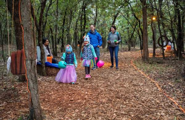 Storybook Forest