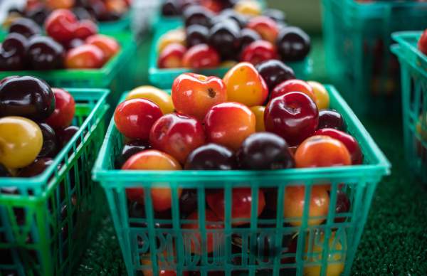 Muskegon Farmers Market Summer Season