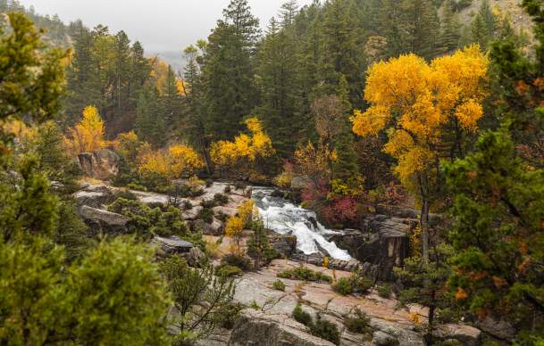 15 Ways to See Fall Colors in Wyoming