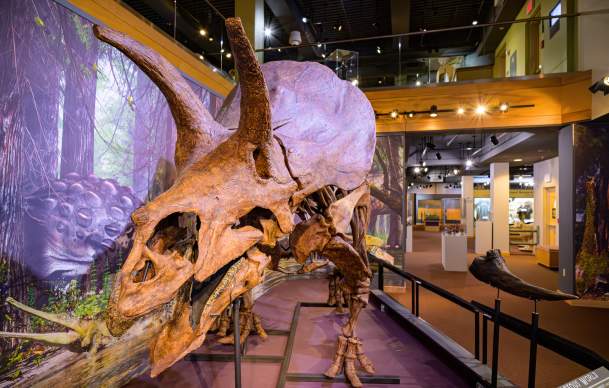 Warm Up Your Wyoming Winter