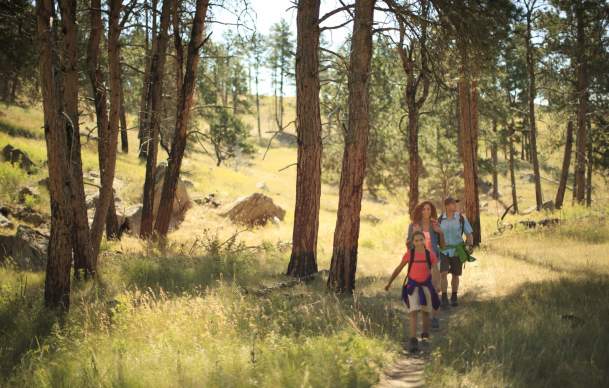 Family-Friendly Activities to Add to Your Wyoming Bucket List in 2025
